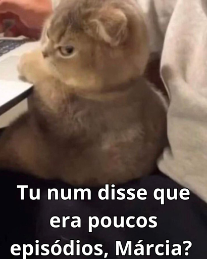 Imagem colorida de baixa qualidade mostrando um pequeno gato de pelagem fofinha e acinzentada, com orelhas pequenas e dobradas, sentado no colo de uma pessoa, próximo a um notebook. Ele apoia uma das patinhas na borda do computador enquanto olha de lado com uma expressão irritada. À esquerda (passando por trás do gatinho) aparece a mão de uma pessoa próxima ao teclado, e à direita vê-se parte da roupa clara da pessoa. Na parte inferior da imagem há um texto em fonte branca que diz: “Tu num disse que era poucos episódios, Márcia?”.
