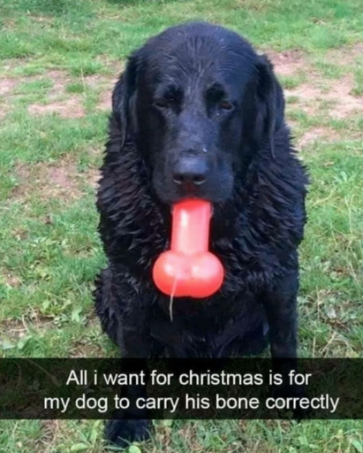 All I want for Christmas