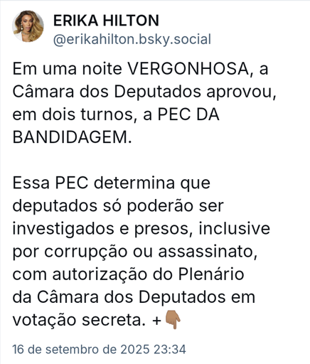 Print de post da deputada Erika Hilton na rede social BlueSky.