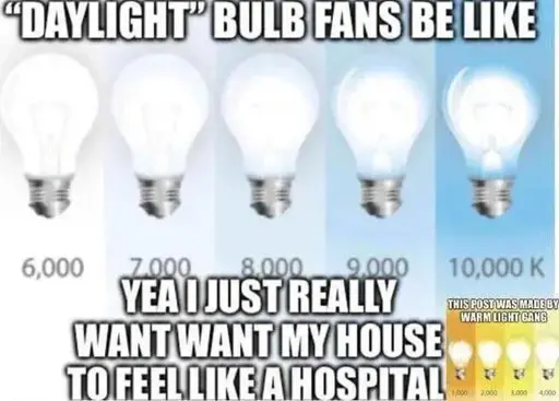 Meme. Texto: Fãs de lâmpadas ”feito a luz do dia” são tipo: [Imagem de várias lâmpadas fluorescentes]. Isso! De fato eu quero quero mesmo que minha casa pareça um hospital