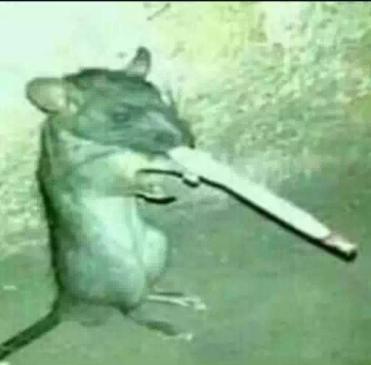 Um rato fumando um cigarro